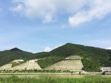 墓园环境