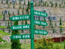 墓园环境