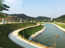墓园环境